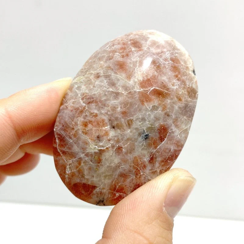 Sunstone Palm Wholesale - Image 2