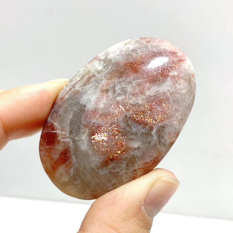 Sunstone Palm Wholesale - Image 3