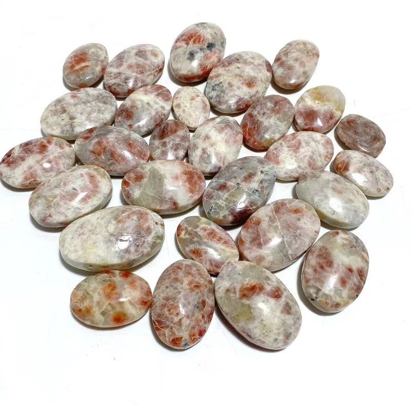 Sunstone Palm Wholesale - Image 4