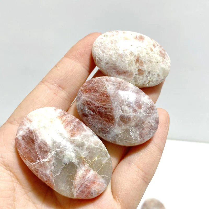 Sunstone Palm Wholesale - Image 5