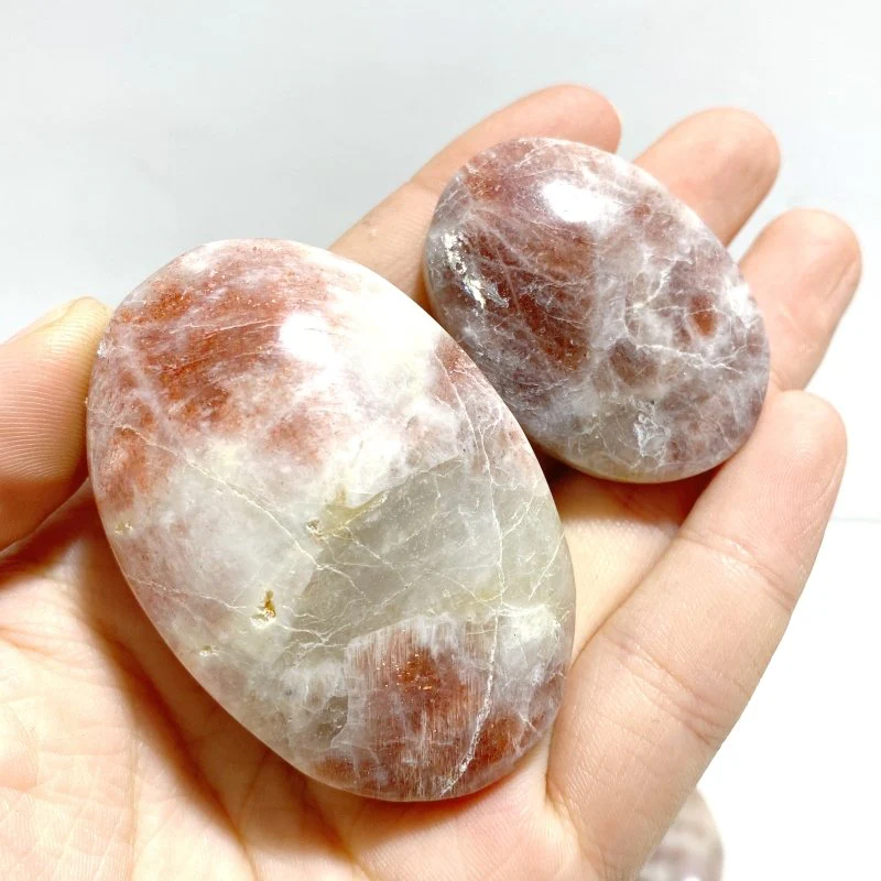 Sunstone Palm Wholesale - Image 6
