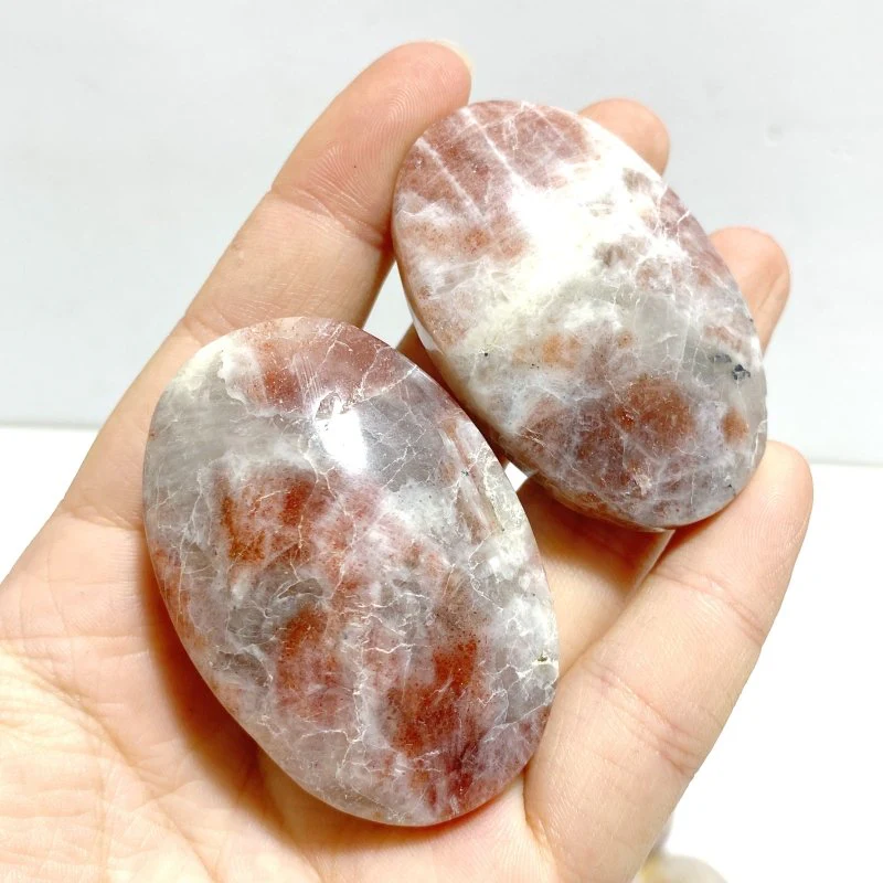 Sunstone Palm Wholesale - Image 7