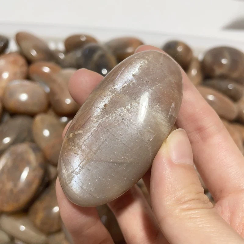 Sunstone Palm Wholesale - Image 2