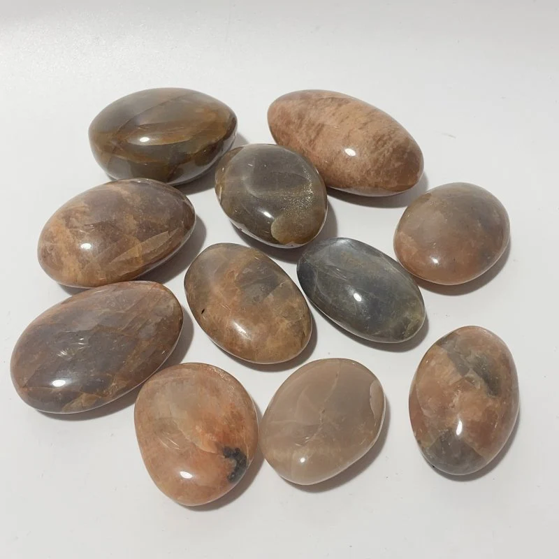 Sunstone Palm Wholesale - Image 3
