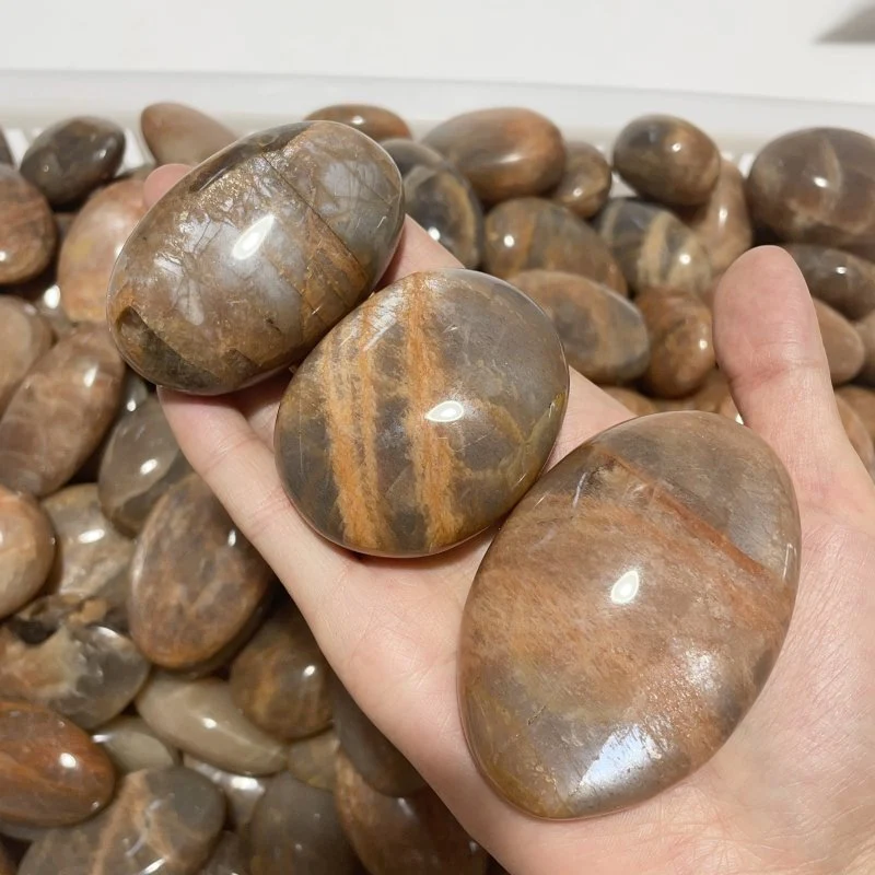 Sunstone Palm Wholesale - Image 4