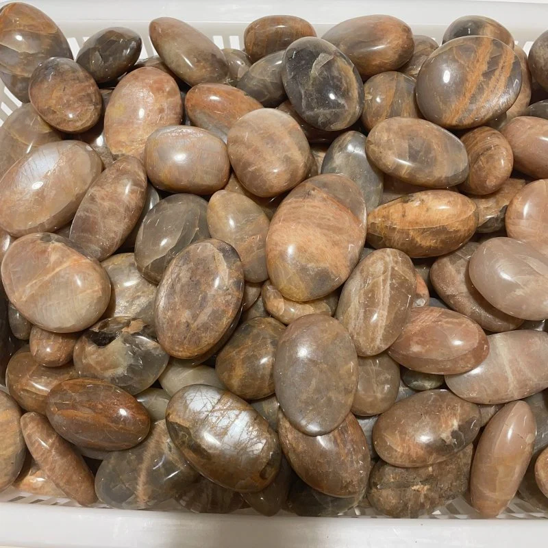 Sunstone Palm Wholesale - Image 5