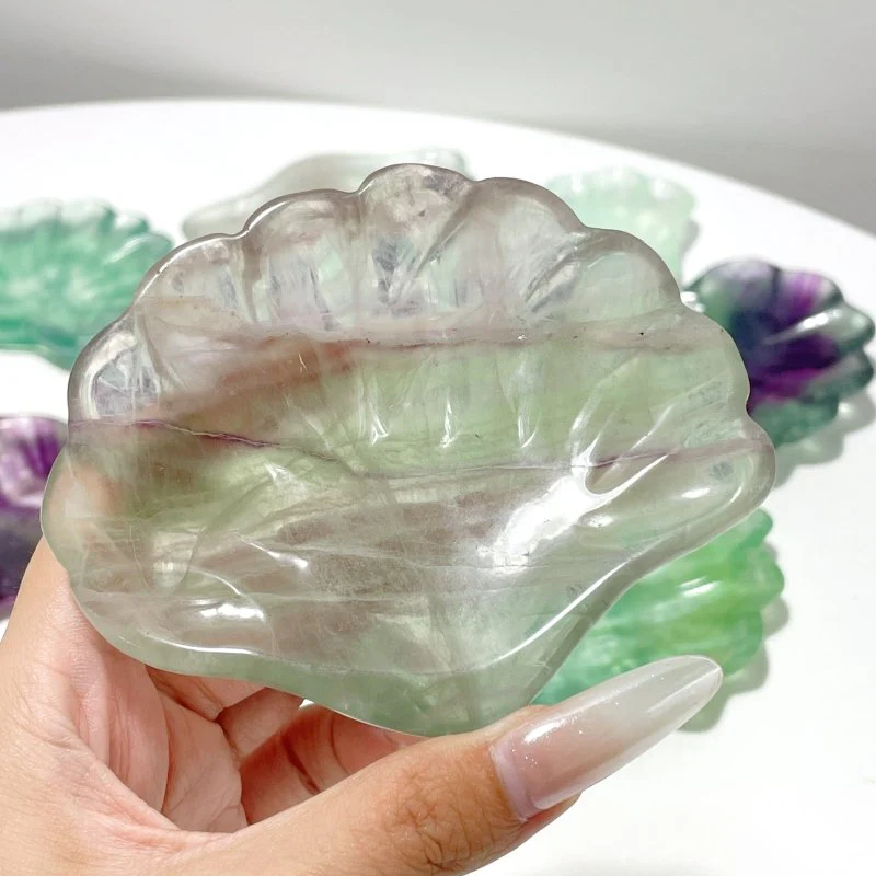 Fluorite Shell Beautiful Shallow Bowl Wholesale - Image 3