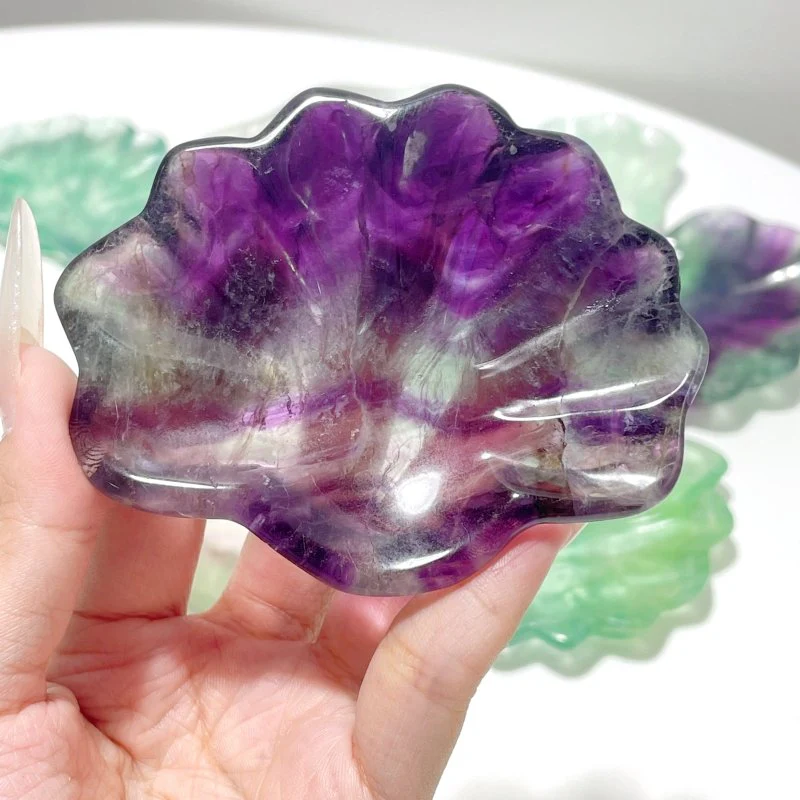 Fluorite Shell Beautiful Shallow Bowl Wholesale - Image 5