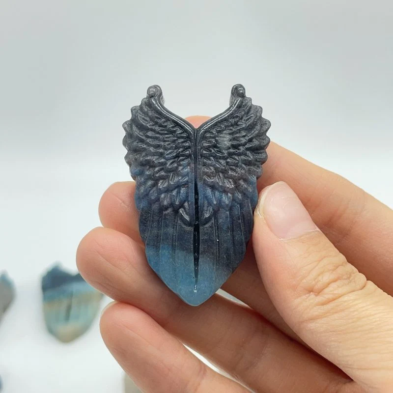 13 Pieces Trolleite Stone Wing Shield Crystal Carving