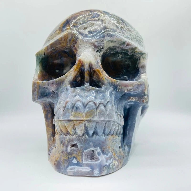 11.77kg(25.8lbs) Unique Large Ocean Jasper Geode Skull - Image 7
