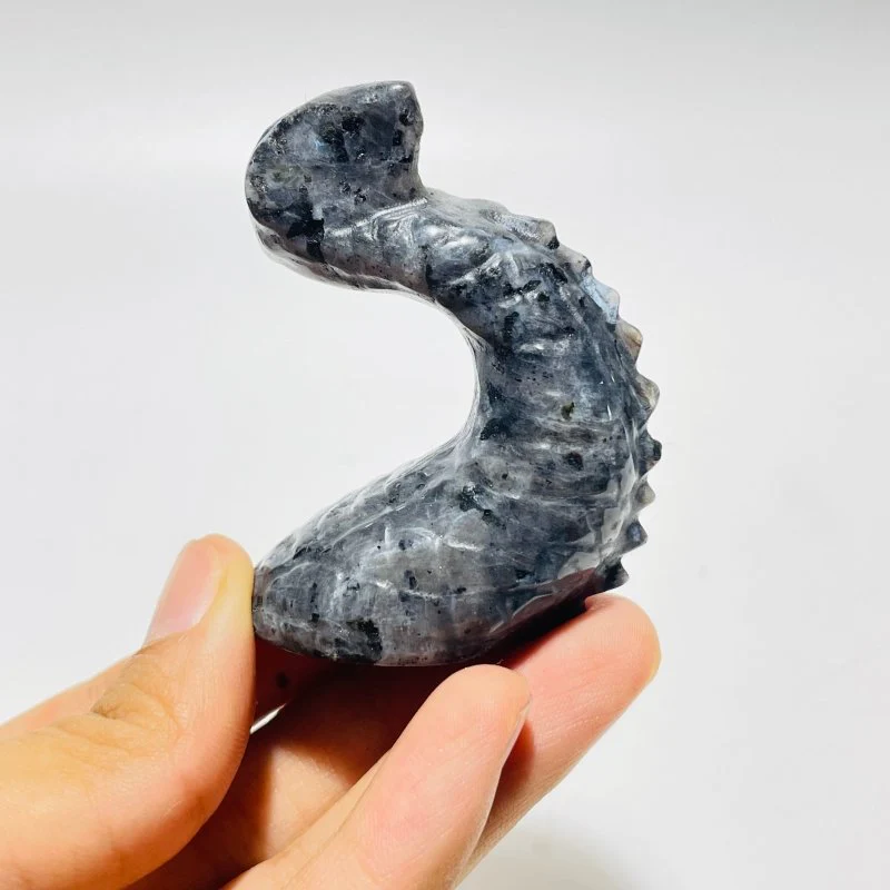 Unique Larvikite Stone Combination Dragon Carving Wholesale - Image 6