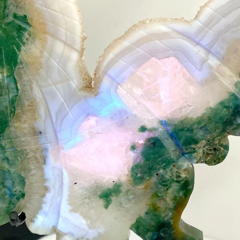 Very Large Geode Druzy Moss Agate Butterfly Wing Carving With Stand - Image 6