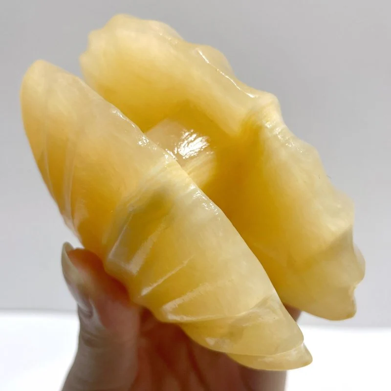 Yellow Calcite Shell Carving Wholesale - Image 3